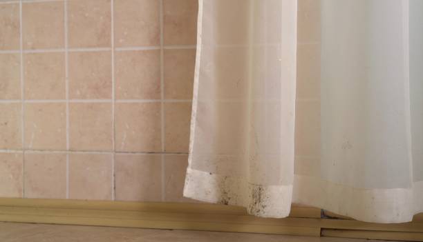 Mold Documentation for Insurance Claims in Dumas, TX