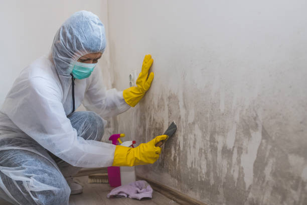 Best Mold Odor Removal Services  in Dumas, TX