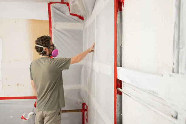 Best HVAC Mold Inspection and Cleaning  in Dumas, TX