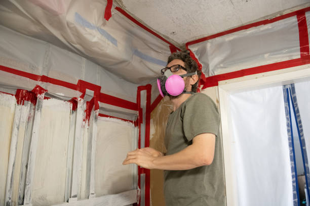 Best Asbestos and Lead Testing During Mold Inspection  in Dumas, TX