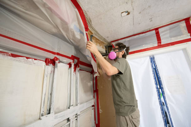 Best Indoor Air Quality Assessment  in Dumas, TX