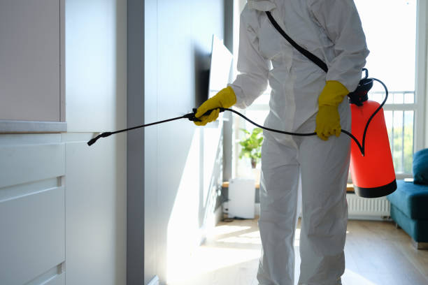 Best Commercial Mold Inspection  in Dumas, TX