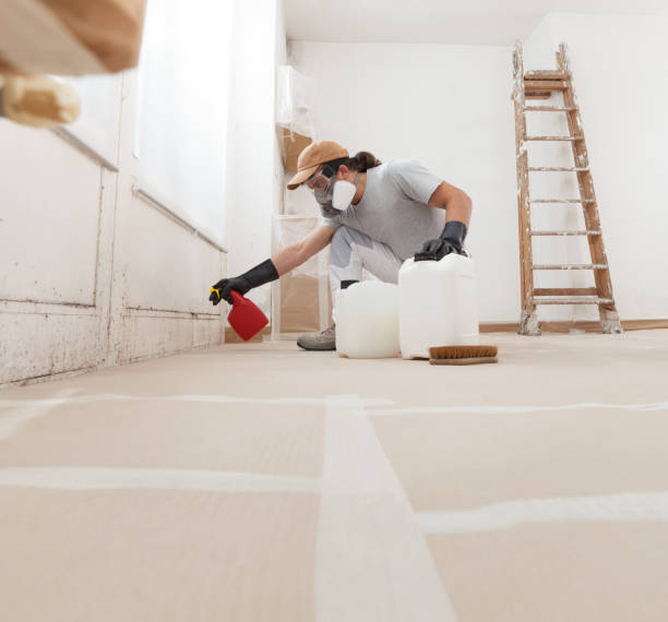 Best Attic Mold Removal  in Dumas, TX