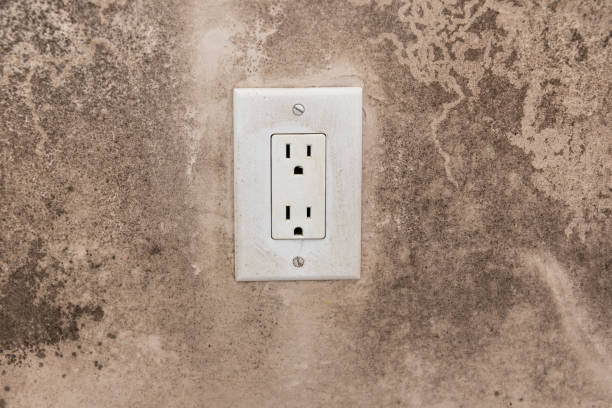 Best Residential Mold Inspection & Testing  in Dumas, TX