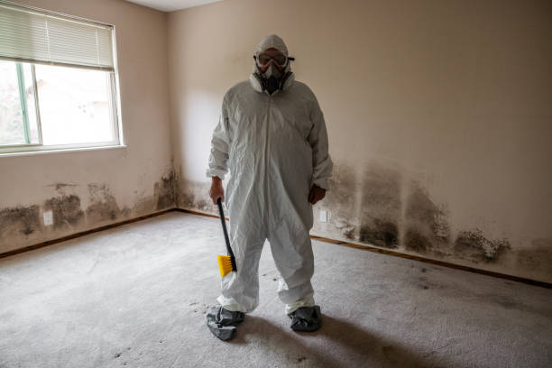 Best Mold Remediation for Rental Properties  in Dumas, TX